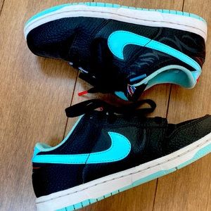 Nike Dunks - boys size 2y
